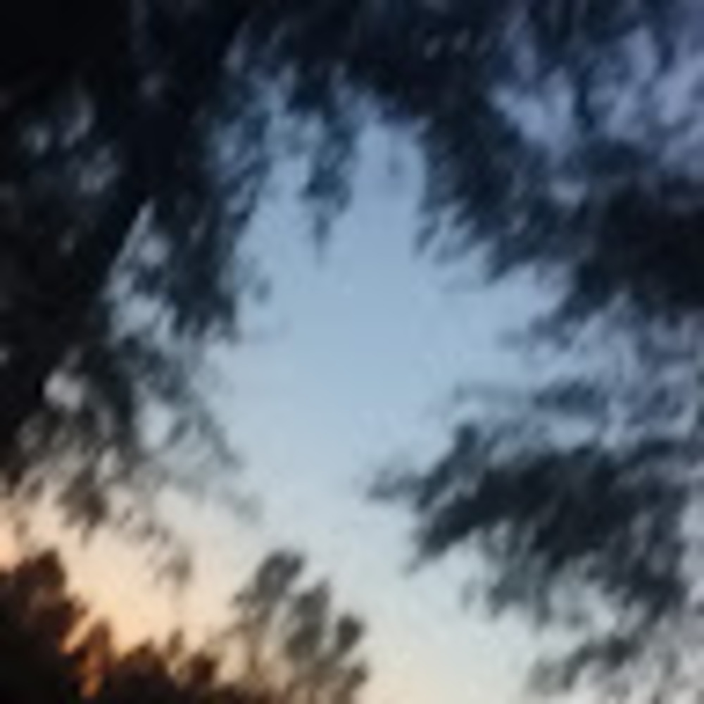 Meet your Posher, Acelynn